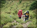 2011-11-08 10-09-09回滑雪中心登山口途中.JPG